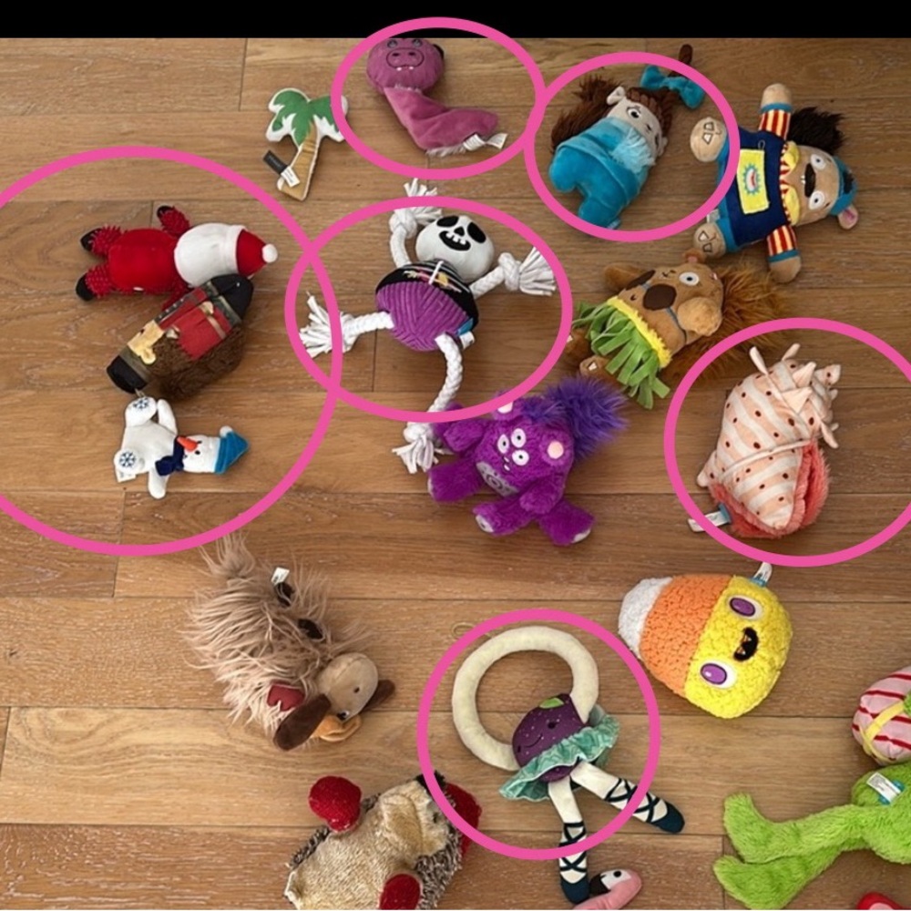 COPY - BarkBox Variety of Plush Themed Dog Toys